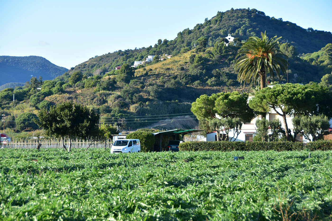 agricultors del maresme agricultors del maresme